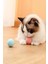 Evcil Hayvan Hareketli Kedi Köpek Oyuncağı Şarjlı Kedi Köpeğinizden Kaçar Oyuncak 2