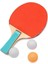 Masa Tenis 2 Raket 3 Top Gönderilmekte Paket Içerisinde Başlangıç Seviyesi 3