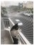 2,50X10 Metre Kedi Filesi Balkon Filesi Sık Dokuma Kalın Kuş Filesi 2 Milim 1