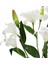 Yapay Lilyum Demeti Beyaz 55 cm 2