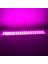 Modül LED 12V 1.5W Pembe Yanıp Sönen Parlak Tek Renk 2835 69 x 16 mm IP65 160-180LM 160 Derece (4767) 2
