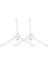 Explorer Serie 60 RG7447 Ana Yan Fırça Filtre Mop Için (Yurt Dışından) 1