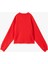 Kolej Baskılı Bisiklet Yaka Crop Sweatshirt 4