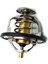 90916-03100 4runner GS300 Için Motor Soğutma Termostatı (Yurt Dışından) 1