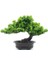 Ev Ofis Kapalı Dekor Için Yapay Japon Ardıç Bonsai Ağacı Yüksekliği 9.5 Inç (Yurt Dışından) 1