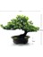 Ev Ofis Kapalı Dekor Için Yapay Japon Ardıç Bonsai Ağacı Yüksekliği 9.5 Inç (Yurt Dışından) 2