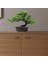 Ev Ofis Kapalı Dekor Için Yapay Japon Ardıç Bonsai Ağacı Yüksekliği 9.5 Inç (Yurt Dışından) 4