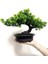 Ev Ofis Kapalı Dekor Için Yapay Japon Ardıç Bonsai Ağacı Yüksekliği 9.5 Inç (Yurt Dışından) 5