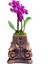 Phalaenopsis Mini Mor Orkide Bakır Renkli Beton Saksıda & Canlı Saksı Çiçekleri & 20-25 cm 1