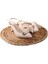 La Pia 02846 6 cm Topuklu Arkası Arkası Açık Kadın Stiletto Ayakkabı 5