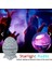 Kumandalı Bluetooth Hoparlör Müzik Masa ve Gece Lambası Galaxy LED Projektör Işık Dinazor Yumurtası 2