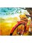 Bisiklet Cam Ocak Arkası 60 x 90 Cm 2