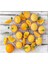 Limonlu Kekler Cam Ocak Arkası 60 x 90 Cm 2