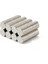Neodyum Mıknatıs Silindir Çap 17 mm , Kalınlık 2 mm Veya 3 mm 1