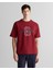 Erkek Bordo Regular Fit Bisiklet Yaka Logolu T-Shirt 2324356T.604 1
