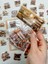 Sunshine Flower House Ev Temalı Turuncu 40 Adet Pet Sticker Set/ Çıkartma/etiket/bullet Journal 1