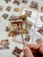 Sunshine Flower House Ev Temalı Turuncu 40 Adet Pet Sticker Set/ Çıkartma/etiket/bullet Journal 2