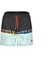 Pro Angler Short Mayo Anthracite Turquoise 2