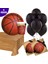 Fanatik Basketbol 8 Li Parti Seti 1
