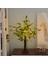 Olive Leaf Lights Zeytin Ağacı Masa Üstü LED Aydınlatma 2