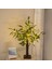 Olive Leaf Lights Zeytin Ağacı Masa Üstü LED Aydınlatma 5