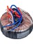 Magicvoice MV-540 Anfi Toroidal Trafo Yedek Parça Amfi Için 1