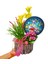Doğum Günü Çiçeği Elegant Happy Birthday Tasarımı & Taflan Kalanchoe Aranjman Hediye Çiçek 2