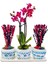Bodrum Serisi Mini Mor Orkide ve Kurutulmuş Pembe Mor Lavanta 3'lü Trio Set & 20-25 cm 1