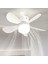 CT-1154 Lodos Fan LED Ampul 62W 2
