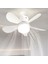 CT-1154 Lodos Fan LED Ampul 62W 5