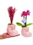 Pembe Patikler Beton Saksıda Mini Mor Orkide ve Lavanta Tasarımı Kız Bebek Hediyesi 15-20 cm 1