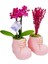 Pembe Patikler Beton Saksıda Mini Mor Orkide ve Lavanta Tasarımı Kız Bebek Hediyesi 15-20 cm 2