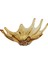 Cam Amber Dal Meyvelik 40 x 28 x 17 cm 1