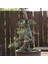 Zeytin Bonsai - Olea Europaea Sylvestris NO.618 3