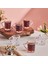 Begonya 6'lı Çay Bardağı Seti 195 ml 6