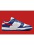 Dunk Low "usa" 2