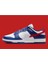 Dunk Low "usa" 3