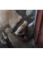 Otomatik Köpek Mama Makinesi 1