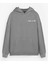 Erkek Oversize Made In Hell Baskılı Premium Kapüşonlu Sweatshirt Gri 2