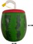 Karpuz Tasarımlı Pipetli Suluk 900 ml (324324) 4