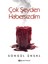 Çok Şeyden Habersizdim – Songül Ünsal 1