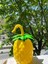 Ananas Pipetli Suluk (324324) 2