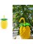 Ananas Pipetli Suluk (324324) 3