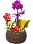 Boncuk Vintage Beton Saksıda Mini Mor Orkide ve Kalanchoe Iç Mekan Bitkileri 15-20 cm Çiçek 3