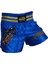 Kick Boks Şortu Nakışlı Mavi 1