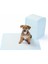 Yıkanabilir Köpek Çiş Pedi - 100 x 100 cm (324324) 3