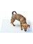 Yıkanabilir Köpek Çiş Pedi - 100 x 100 cm (324324) 4