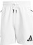 Sportswear JJ4893 Z.N.E. Shorts 3