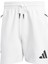 Sportswear JJ4893 Z.N.E. Shorts 5