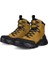 Offroad M Olive Oil 3